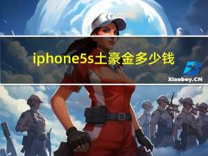 iphone5s土豪金多少钱（iphone5s土豪金）