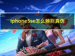 iphone5se怎么辨别真伪（iphone5se价格）