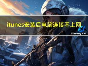 itunes安装后电脑连接不上网（itunes安装后打不开）