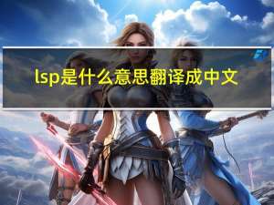 lsp是什么意思翻译成中文（lsp是什么意思）