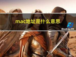 mac地址是什么意思（mac是什么意思）