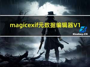 magicexif元数据编辑器 V1.09 免激活码版（magicexif元数据编辑器 V1.09 免激活码版功能简介）
