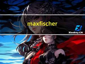 max fischer（Max Schillinger简介）