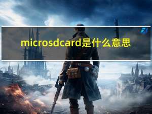 microsdcard是什么意思（sdcard是什么意思）