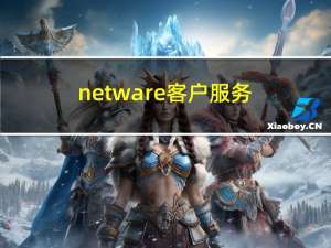 netware客户服务（netware）