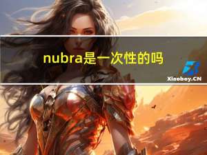 nubra是一次性的吗（NUBRA是什么意思呢）