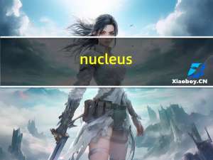 nucleus（nuc）