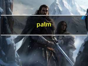 palm（750）