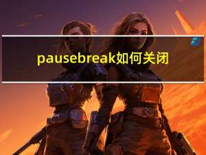 pausebreak如何关闭（pausebreak）