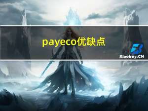 payeco优缺点（payeco）