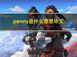 penny是什么意思中文（penny是什么意思）