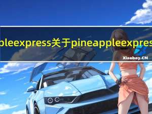 pineapple express 关于pineapple express的介绍