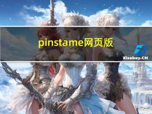 pinsta me网页版（pinsta me）