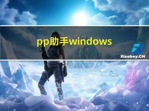 pp助手windows（pp助手win）