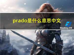 prado是什么意思中文（prado是什么意思）