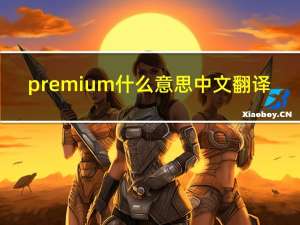 premium什么意思中文翻译（premium什么意思）