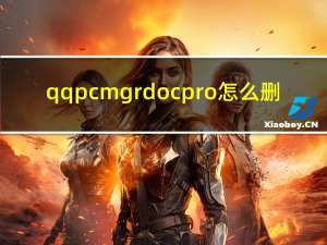 qqpcmgr docpro怎么删（qqpcmgr docpro能不能删除）