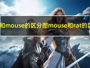 rat和mouse的区分图 mouse和rat的区别