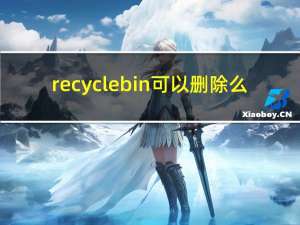 recyclebin可以删除么（recyclebinhw）