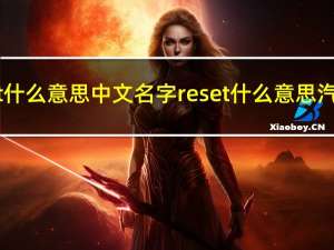 reset什么意思中文名字 reset什么意思汽车上