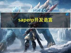 sap erp开发语言（sap erp）