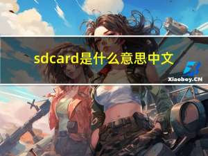 sdcard是什么意思中文（sdcard是什么意思）