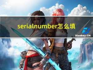 serial number怎么填（serial number）