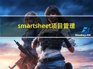 smartsheet 项目管理（smartsheet）