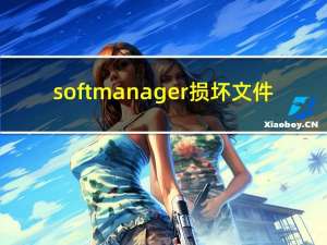 softmanager损坏文件（softmanager）