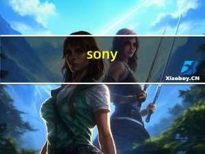 sony（xperia zu）