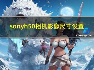 sonyh50相机影像尺寸设置（sonyh50）