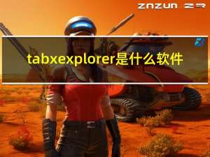 tabx explorer 是什么软件（silverlight是什么软件）