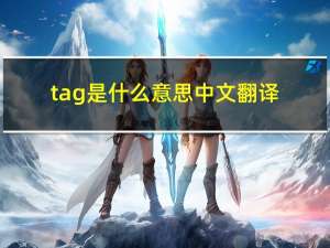 tag是什么意思中文翻译（tag是什么意思）