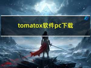 tomatox软件pc下载（tomatodualwan）