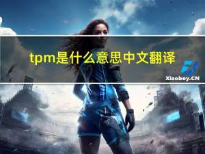 tpm是什么意思中文翻译（tpm是什么意思）