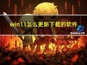 win11怎么更新下载的软件（WIN11怎么更新）