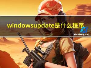 windows update是什么程序（windows update是什么）