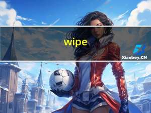 wipe（wipe）