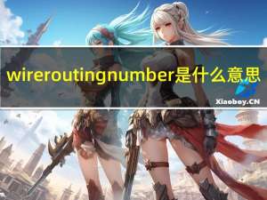wire routing number是什么意思（境外汇款的时候 swift code和routing number 是什么意思啊）