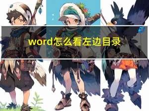 word怎么看左边目录（word怎么看字数）