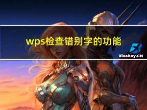 wps检查错别字的功能（wps检查错别字）