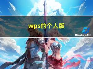 wps的个人版（wps2010个人版）