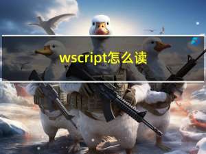wscript怎么读（WScript简介）