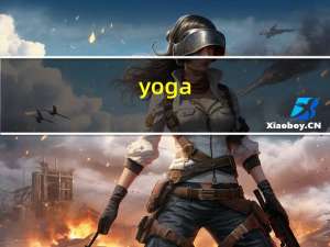 yoga（2 pro）
