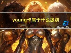 young卡属于什么级别（young卡和普卡的区别是什么）