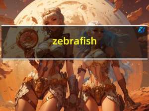 zebrafish（zebra的音标）