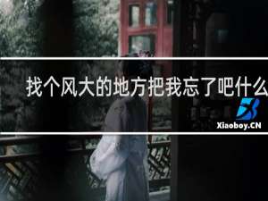 找个风大的地方把我忘了吧什么梗