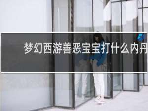 梦幻西游善恶宝宝打什么内丹