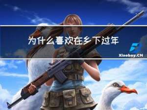 为什么喜欢在乡下过年作文
