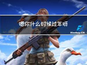 嗯你什么时候过年呀